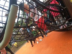 -枫香湖儿童公园