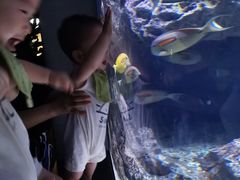 -成都浩海立方海洋公园