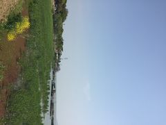 iphone_upload_pic-太湖好灶头土菜馆(石公路店)