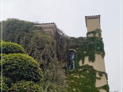 -府河摄影公园