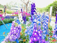 -深圳国际园林花卉博览园