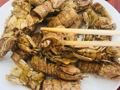 -四海鲜渔家菜(黄金海岸店)