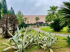 -自贡恐龙博物馆