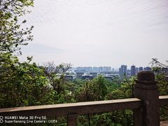 -绍兴镜湖国家城市湿地公园