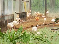 -北京动物园