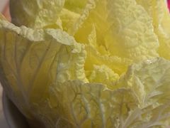 -三只耳火锅(宽窄巷子店)