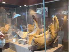 -丁村民俗博物馆