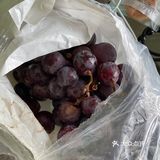 云南夏黑葡萄