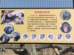 -南昌动物园