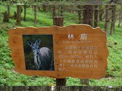 -硗碛藏寨·神木垒景区