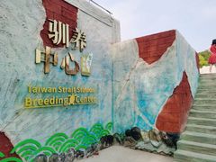 -广东惠东海龟国家级自然保护区