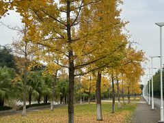 -四川大学(江安校区)