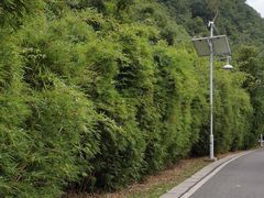 -贵阳市花溪国家城市湿地公园