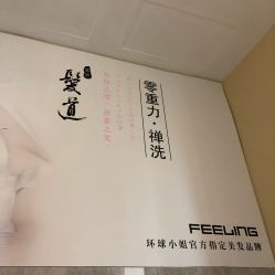 -黛蓝形象定制