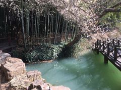 -虞山风景区