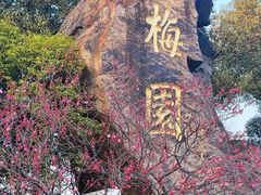 -无锡梅园公园