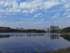 -广东花都湖国家湿地公园