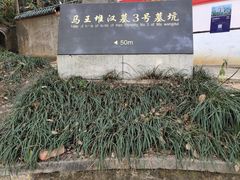 -马王堆汉墓遗址