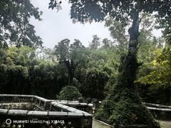 -习家池