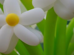 -蜀冈西峰生态公园