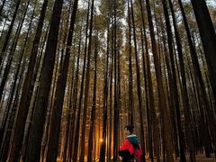 -山王坪喀斯特国家生态公园