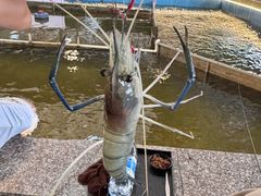 -粮心小农·大头虾亲子生态园(长发店)