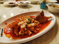 -张鸟园农家乐(张鸟园店)