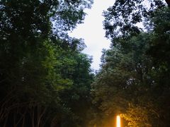 -白鹭湾湿地公园