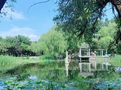 -北陵公园