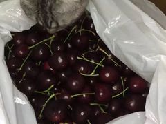 -油麻地果栏