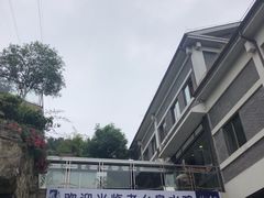 -老幺泉水鸡