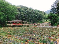 -韶关经律论国际酒店温泉