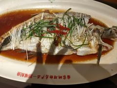 -丹江渔村(望京店)