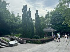 -鼎湖山风景区