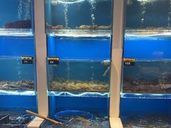 -赶海部落海鲜城(海阳路店)