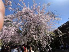 -西安青龙寺遗址景区