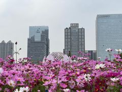 -二沙岛艺术公园