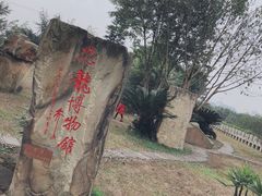 -自贡恐龙博物馆