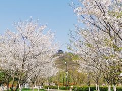 -绍兴镜湖国家城市湿地公园