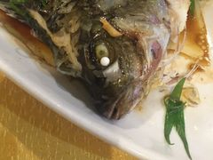 -华兴餐厅·招牌生鱼片(桃园路店)