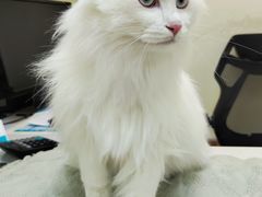 -美联众合24小时·皮肤科·外科·全科诊疗中心(华苑分院)
