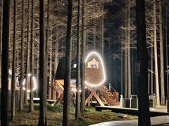 -黄海国家森林公园