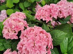 -常州古运河南大街文化旅游区-人民公园