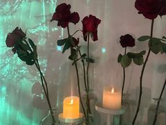 -百好乐宠物友好餐厅(朝外大街店)