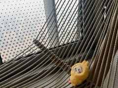 -上海之巅观光厅