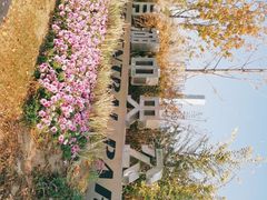 -映月湖中央公园