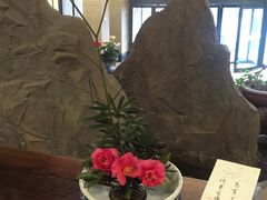 -苏州独墅湖书香世家酒店