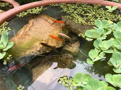 门面-肴约·花园式餐厅(湖里店)