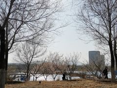 -永定河休闲森林公园