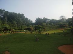 -海南热带野生动植物园